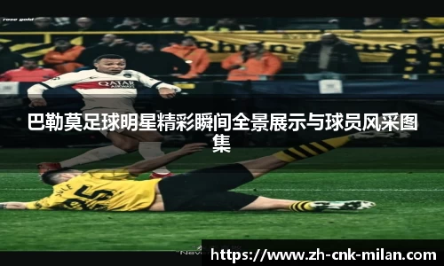 巴勒莫足球明星精彩瞬间全景展示与球员风采图集